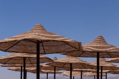 Mısır 'da plajdaki güneş gözlüğü manzarası