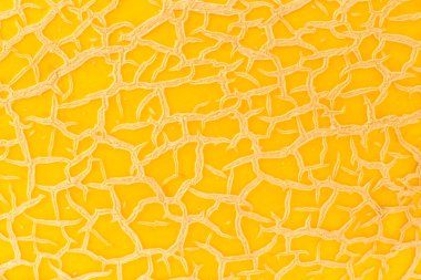 soyut doğal arkaplan: kavun kabuğunun portakal kabuğunu kapat