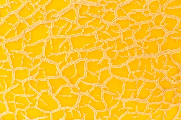 Abstract Natural Background Close Orange Peel Melon — Stock Photo, Image