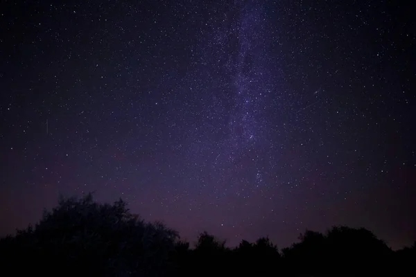 View Starry Night Sky Milky Way Galaxy Trees — Stockfoto