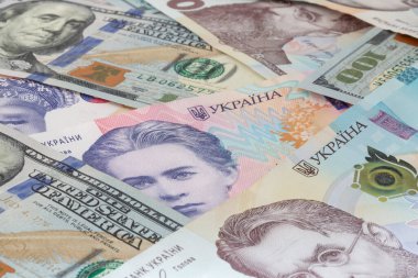 heap of Ukrainian hrivnya and US dollars banknotes