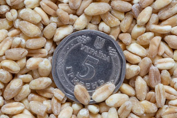 Close Five Ukrainian Hrivnya Coin Lying Heap Wheat Grains — Zdjęcie stockowe