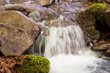 small waterfall on a brook in Carpathian mountains