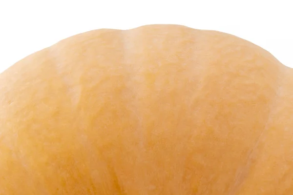 在白色背景下密切留意橙色南瓜的细节 — 图库照片
