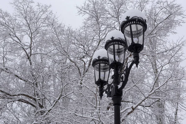 Perto Lanterna Parque Dia Inverno — Fotografia de Stock