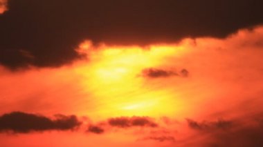 sıcak turuncu gökyüzü, kuş silhouettes