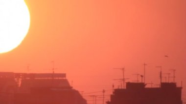 günbatımı güneşli binaların üzerinde kuş uçuş