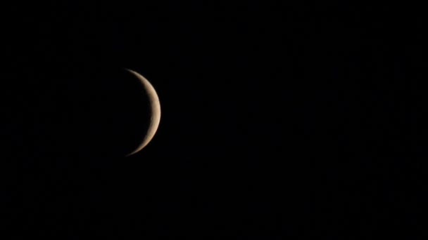 New moon på den svarta himlen — Stockvideo