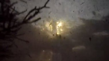 Güneş ışınları sığ su içinde yosunlar