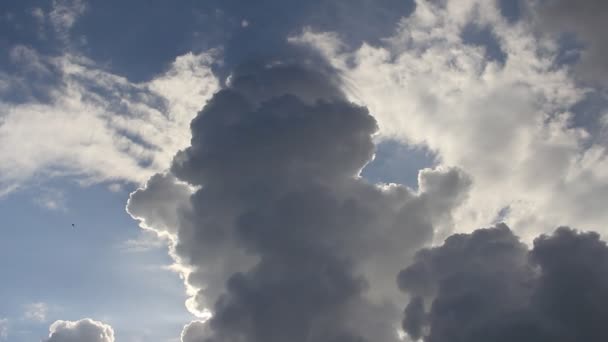 Śnieg niebo chmury cumulus time-lapse — Wideo stockowe