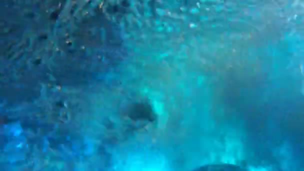 Powierzchnię wody niebieski podwodne widoki bubles — Wideo stockowe