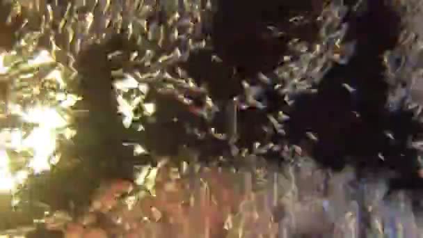 Kabarcıkları su yüzeyi üzerinde ışıklar ışıltı — Stok video