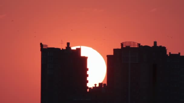 Şehirde gökdelenler çatılar üzerinden günbatımı — Stok video