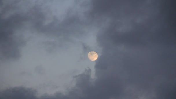 Donkere wolken op de grijze lucht gesloten maan schijf — Stockvideo