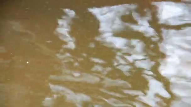 Polvo flotando en el agua contaminada — Vídeo de stock