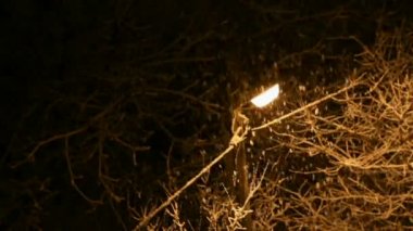 gece kış kar