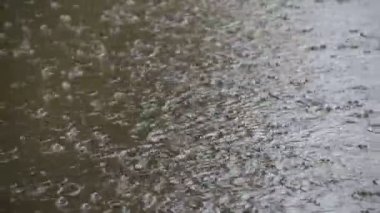 baloncuklar yüzey görünümü birikintisi