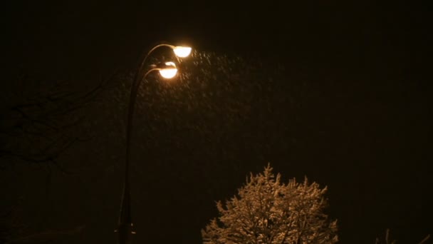 Nieve en la noche — Vídeo de stock