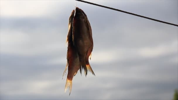 Peu de petits poissons séchant sur fond de ciel — Video