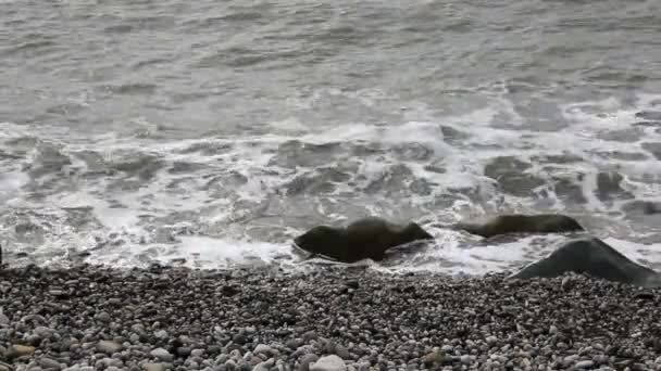 Ondas tempestuosas na praia pedregosa — Vídeo de Stock