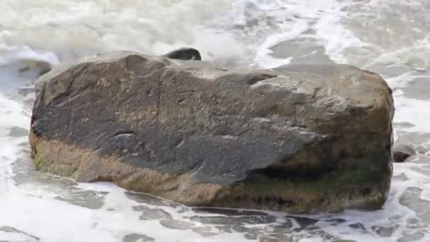 Stormachtige golven op steenachtige strand — Stockvideo