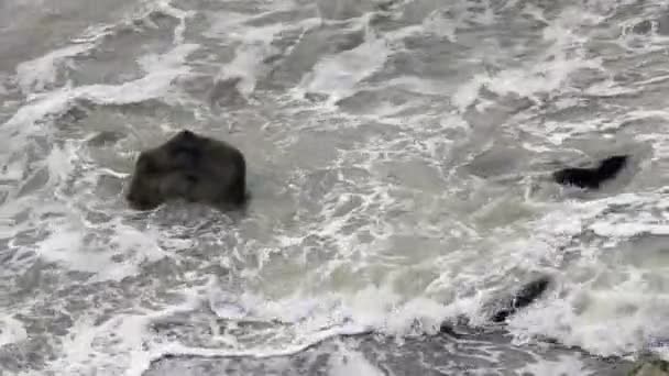 Смертельні хвилі на кам'яному пляжі — стокове відео
