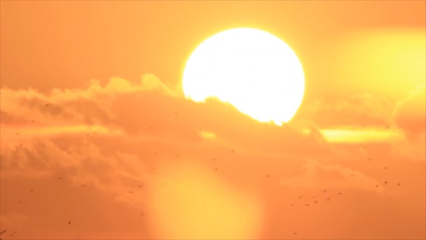 Východ slunce z cloudscape — Stock video