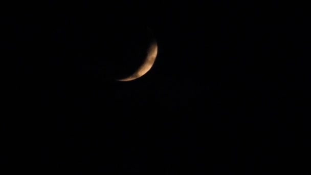 Nachtwolken verbergen die neue Mondscheibe — Stockvideo