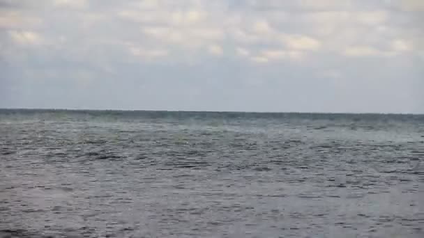 Sea surf waves time-lapse — Wideo stockowe