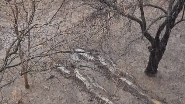 森の中で雪の冬時間で地面に車の追跡します。 — ストック動画