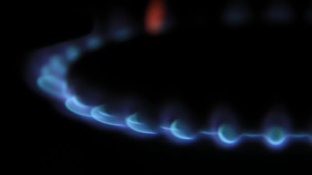 Kitchen blue gas flame — Stock Video