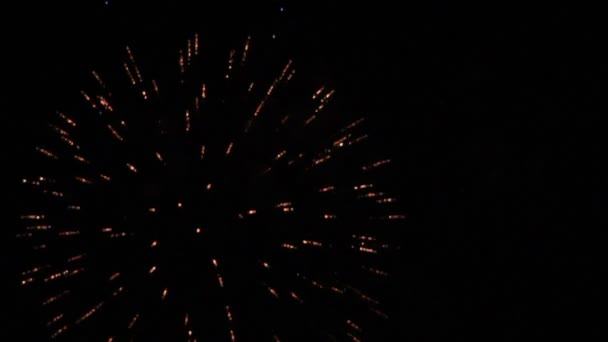 Feux d'artifice dans le ciel nocturne 