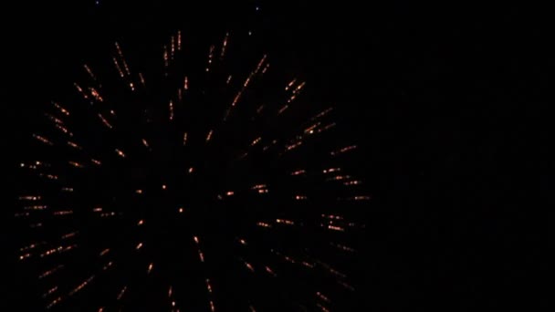 Fuegos artificiales en el cielo nocturno — Vídeo de stock