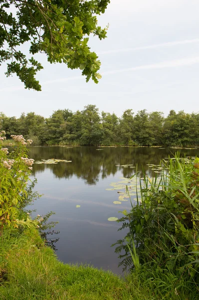 Water landschap in Nederland — Stockfoto