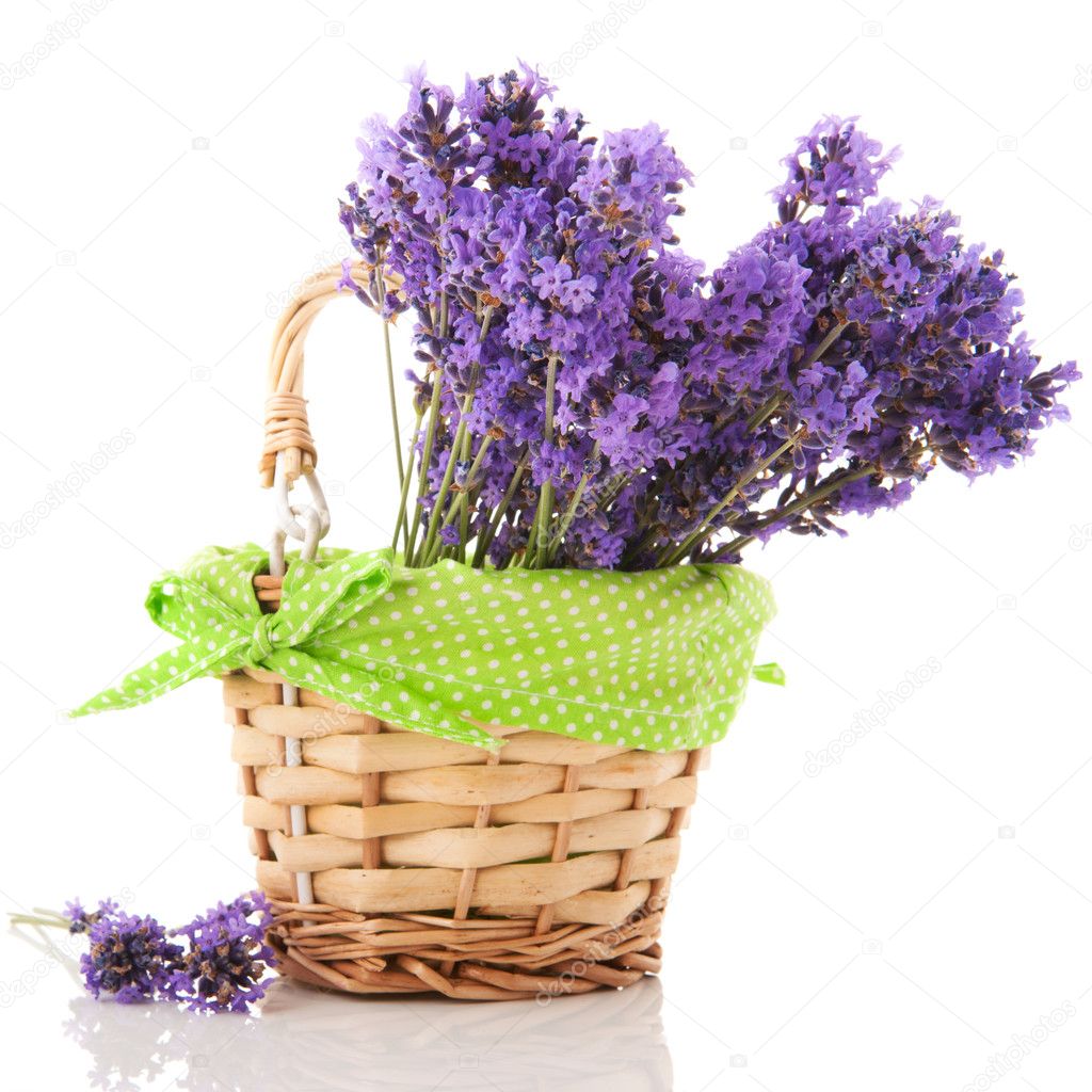 Lavender twigs in basket