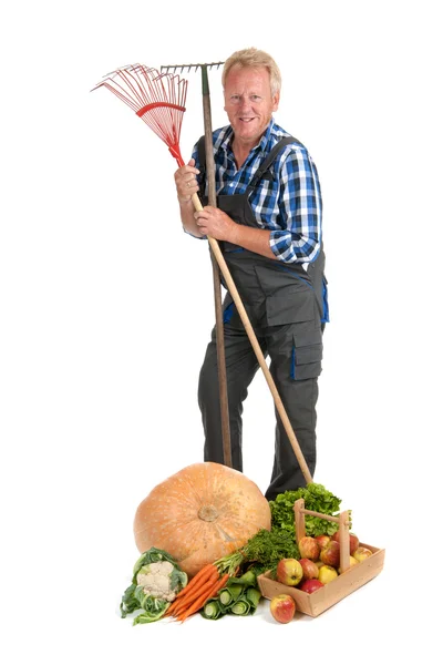 Gärtner mit Ernte — Stockfoto