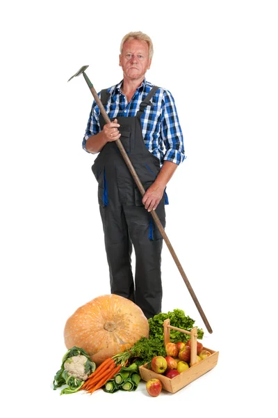 Gardener with harvest — Stock Photo, Image