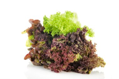 ürün yelpazesine salata