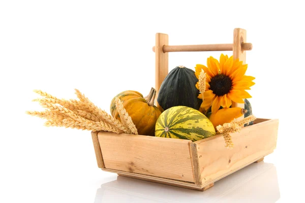 Wooden basket ornamental gourds and grain — Stock Photo, Image