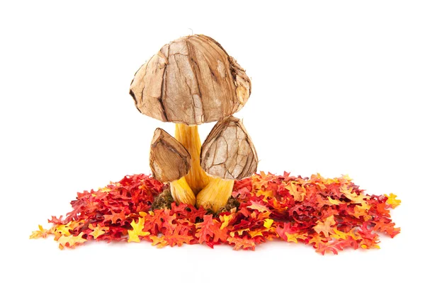 Decoração cogumelos — Fotografia de Stock