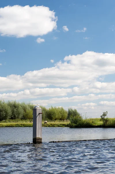 Postes en el río —  Fotos de Stock