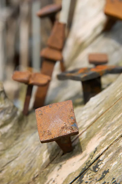 Old rusty nails — Stock Photo, Image