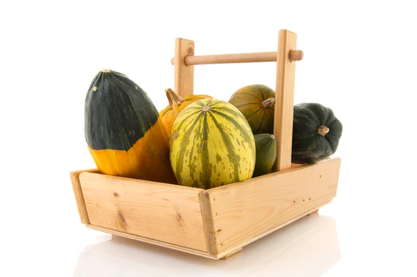 Wooden basket ornamental gourds — Stock Photo, Image