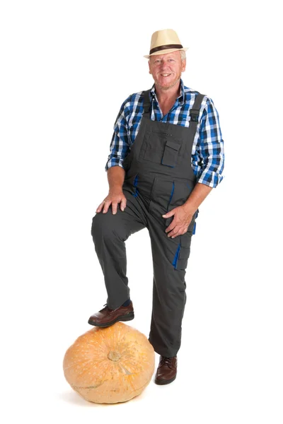 Gardener with pumpkin — Stock Photo, Image