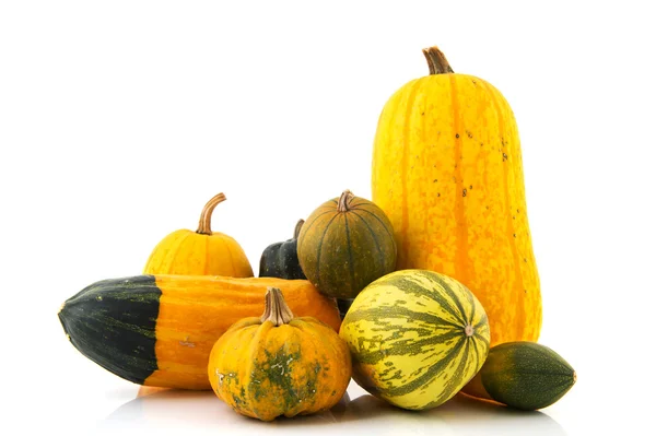 Ornamental gourds — Stock Photo, Image