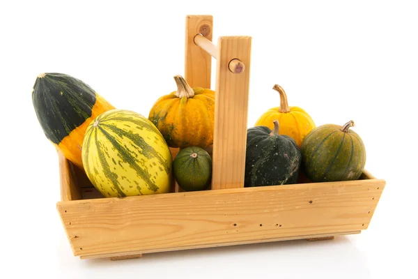 Wooden basket ornamental gourds — Stock Photo, Image