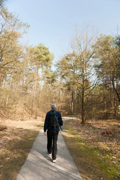 Wandelen met de hond in de natuur — Stockfoto