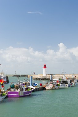 La cotiniere oleron liman Fransa