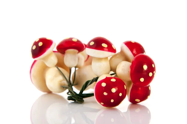 装饰蘑菇 — 图库照片