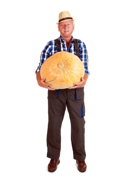 Gardener with pumpkin — Stock Photo, Image